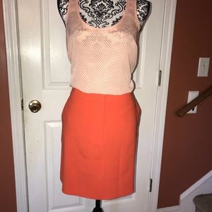Ann Taylor skirt